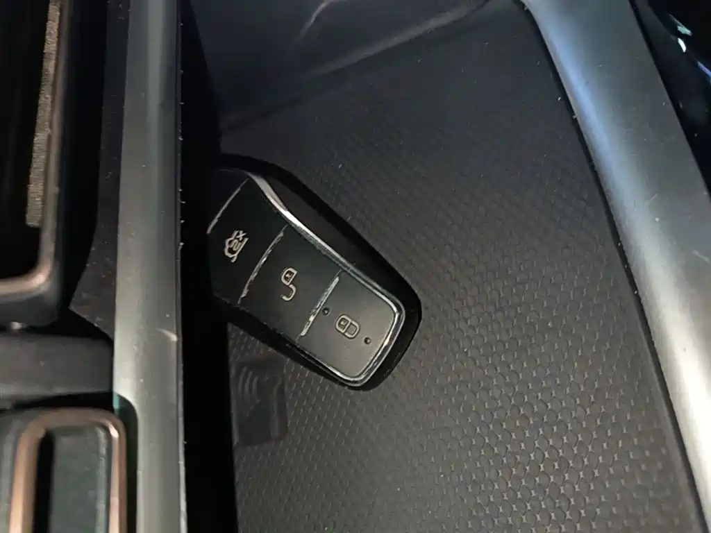 BYD Song Pro New Energy 2022 DM-i 51km Premium фото 9