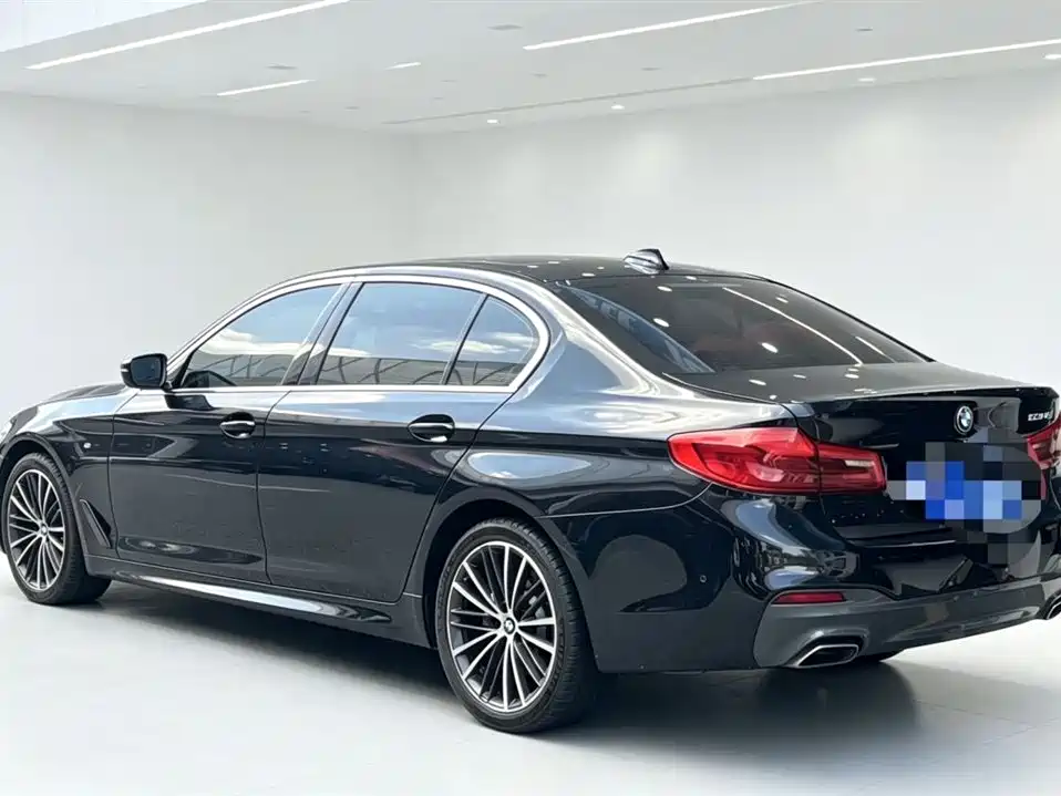 BMW 5 Series 2019 530Li Leading M Sport Package фото 8