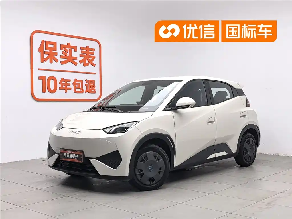 BYD Seagull 2025 Smart Drive Edition 305km Vitality Version