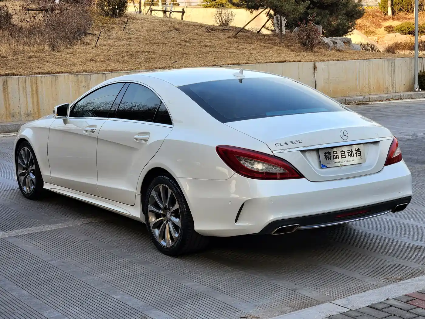 Mercedes-Benz CLS 2015 CLS 320 фото 4