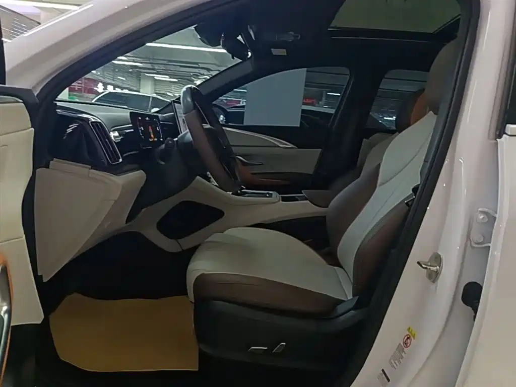 BYD Song Pro New Energy 2022 DM-i 51km Premium фото 15