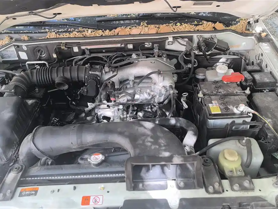 Mitsubishi Pajero (Import) 2019 3.0L Automatic Premium Edition фото 10