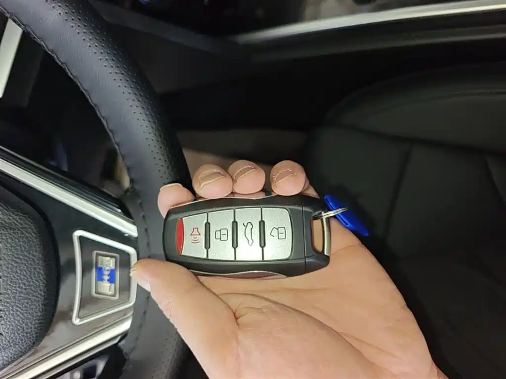 Haval H6 2018 Blue Label Sport 1.5T Automatic 2WD Elite фото 9