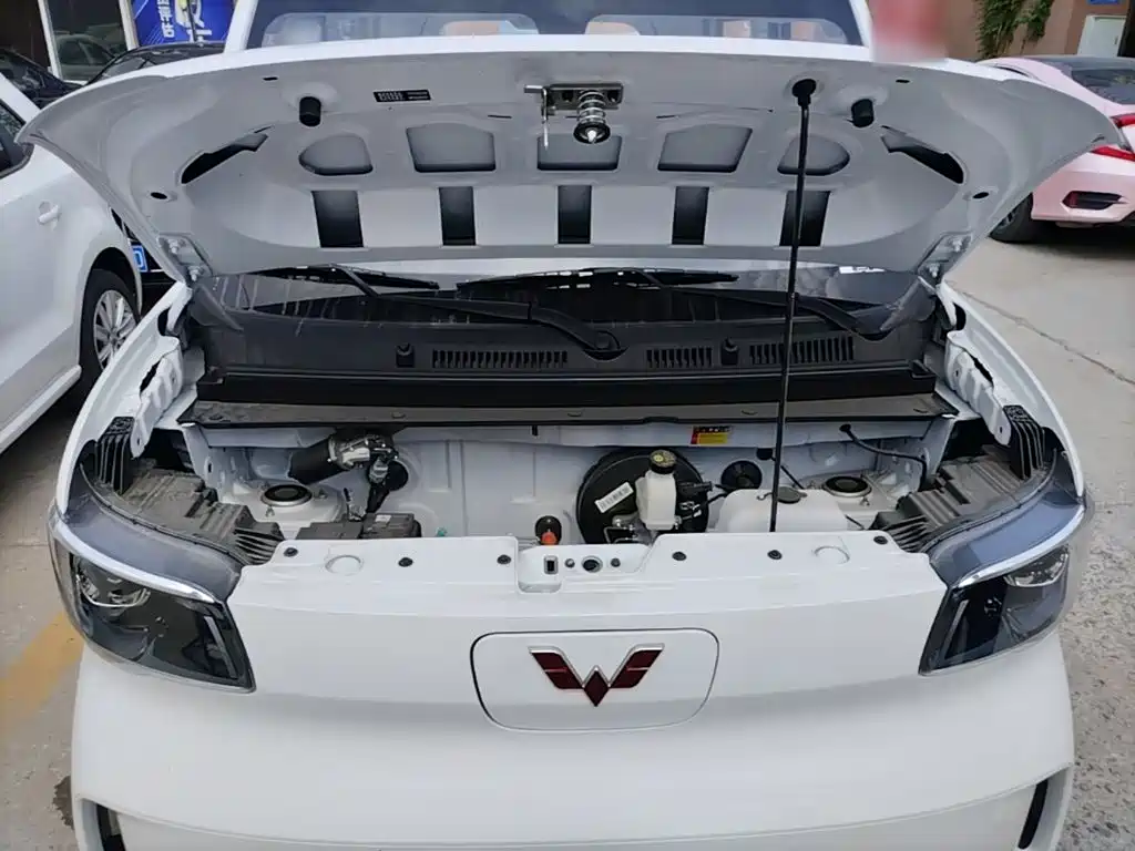 Wuling Motors Wuling Zhiguang NEV 2026 2025 Model 305km Base Version