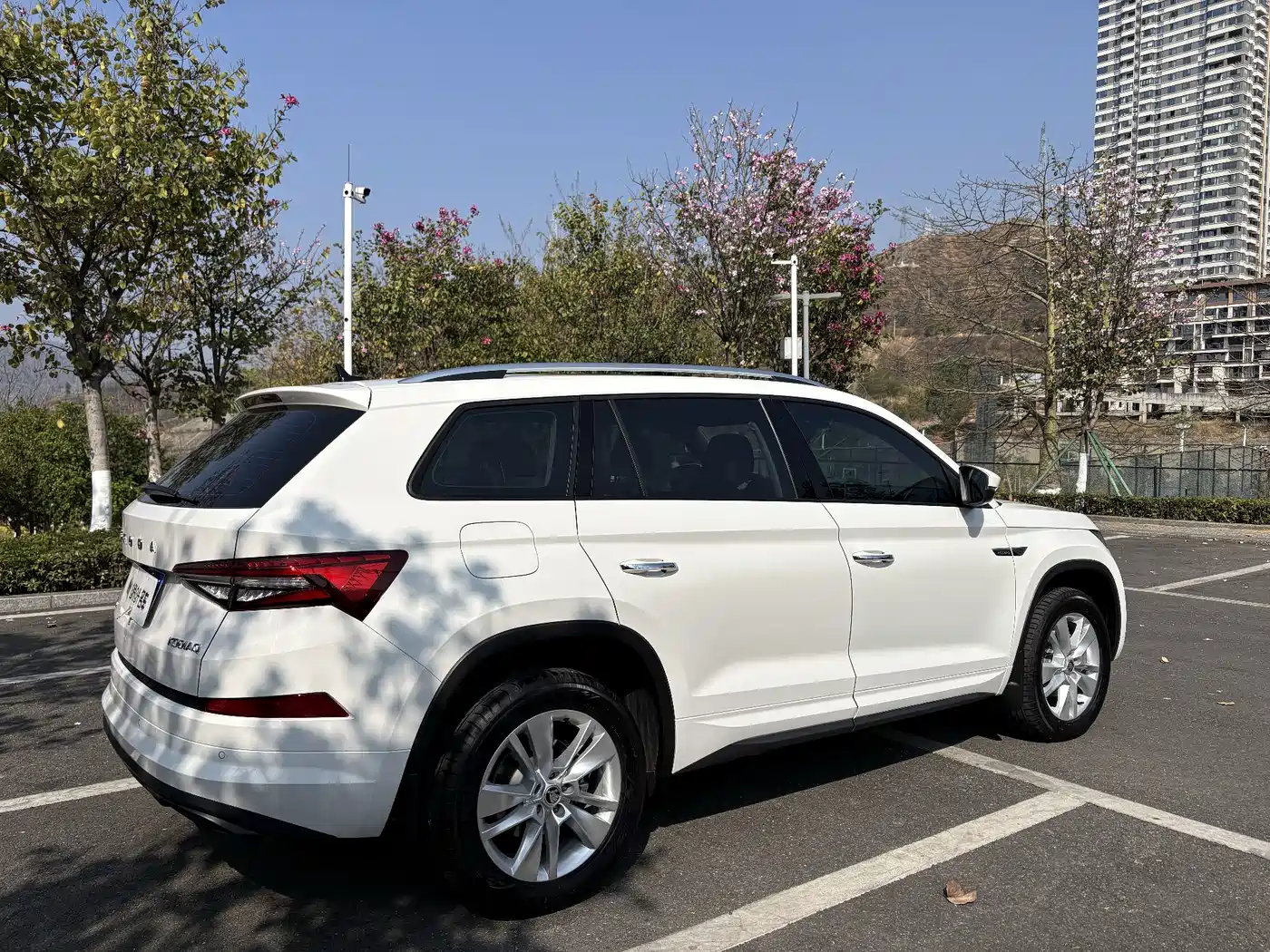 Škoda Kodiaq 2025 TSI330 5-Seater FWD Capability Edition фото 6