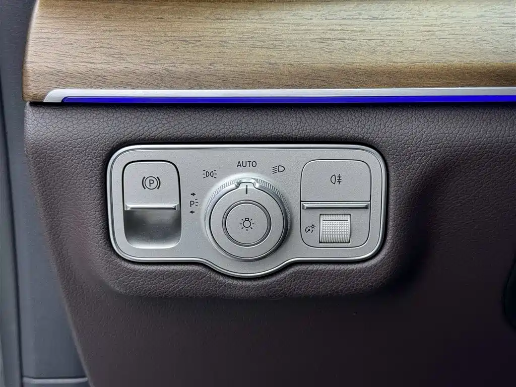 MERCEDES-BENZ GLE NEW ENERGY