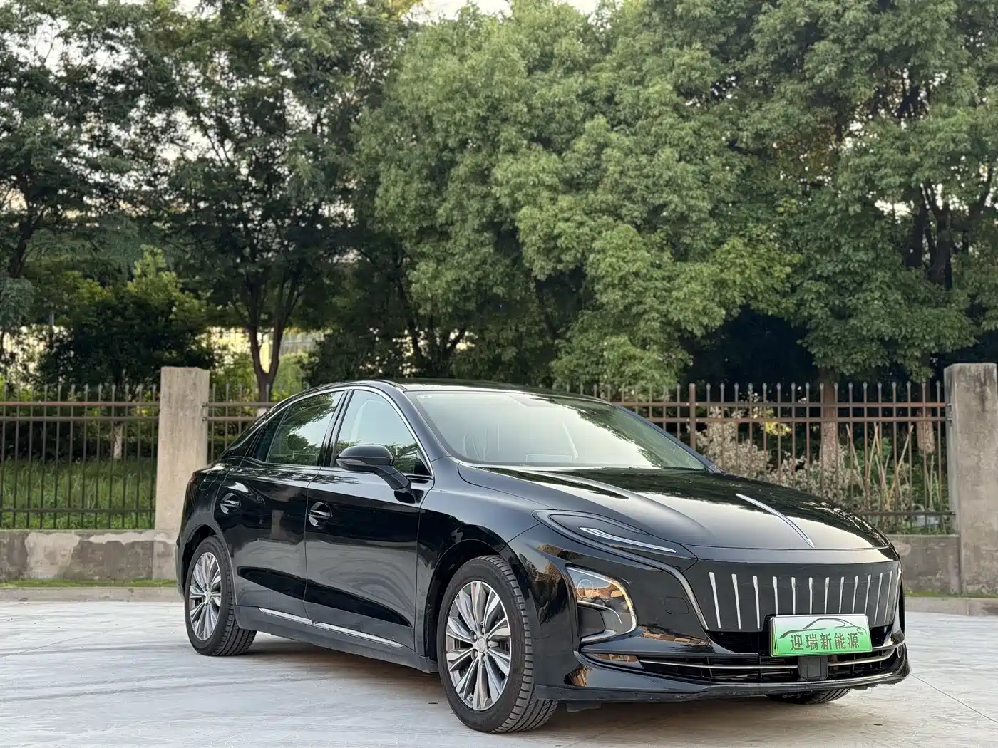 Hongqi E-QM5 2023 Basic Travel Edition фото 12