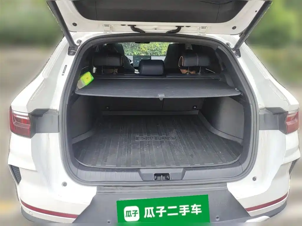 BYD Song PLUS PHEV 2021 DM-i 110KM Flagship PLUS фото 10