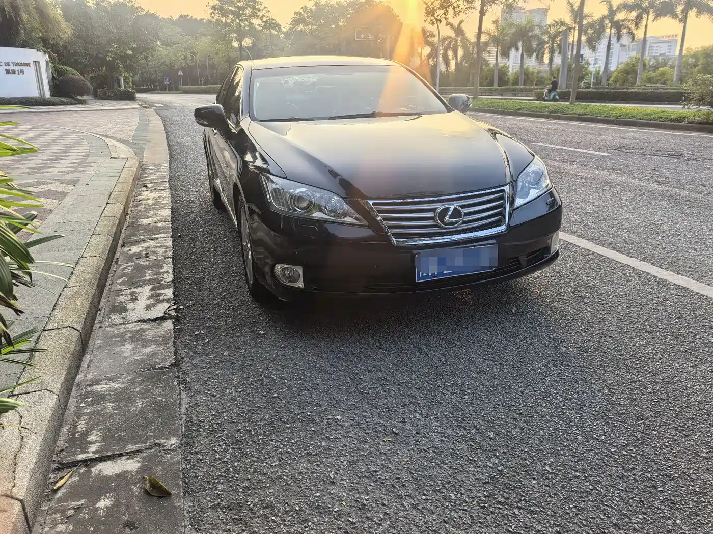 Lexus ES 2010 240 Elegance Edition фото 4