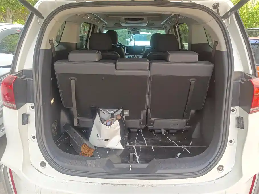 GAC Trumpchi Trumpchi M8 2021 Master Series 390T Prestige Edition фото 4