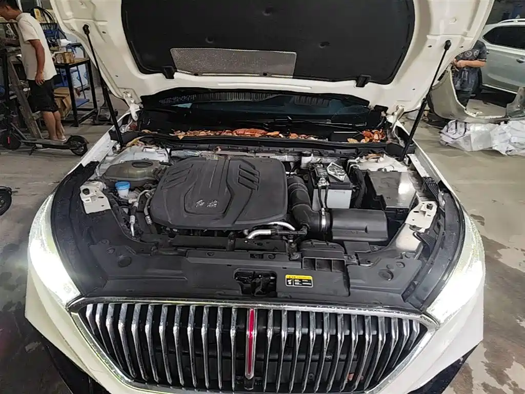 Hongqi H5 2022 Classic Facelift 1.5T DCT Flag Rhythm Edition фото 20