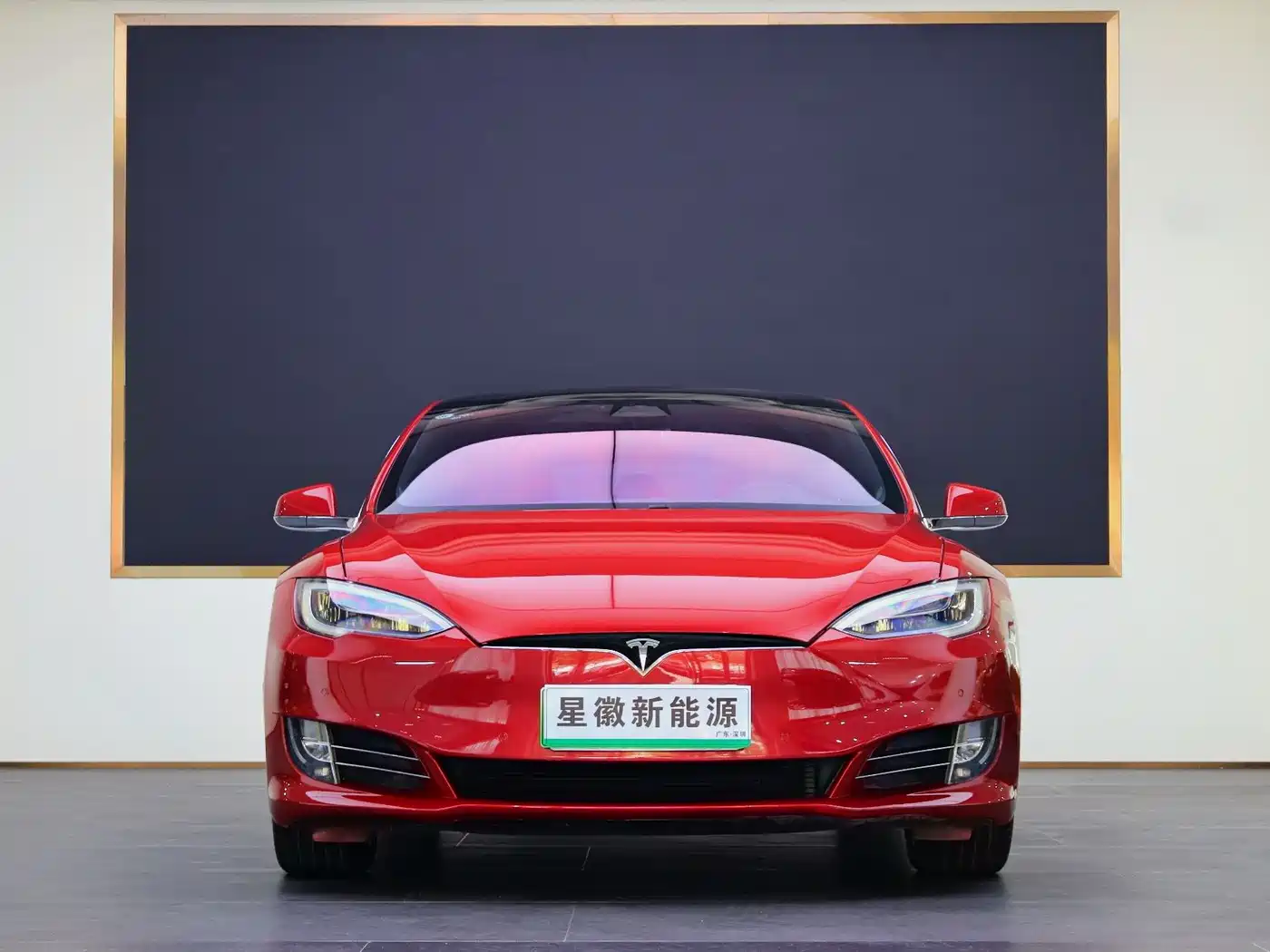 TESLA MODEL S