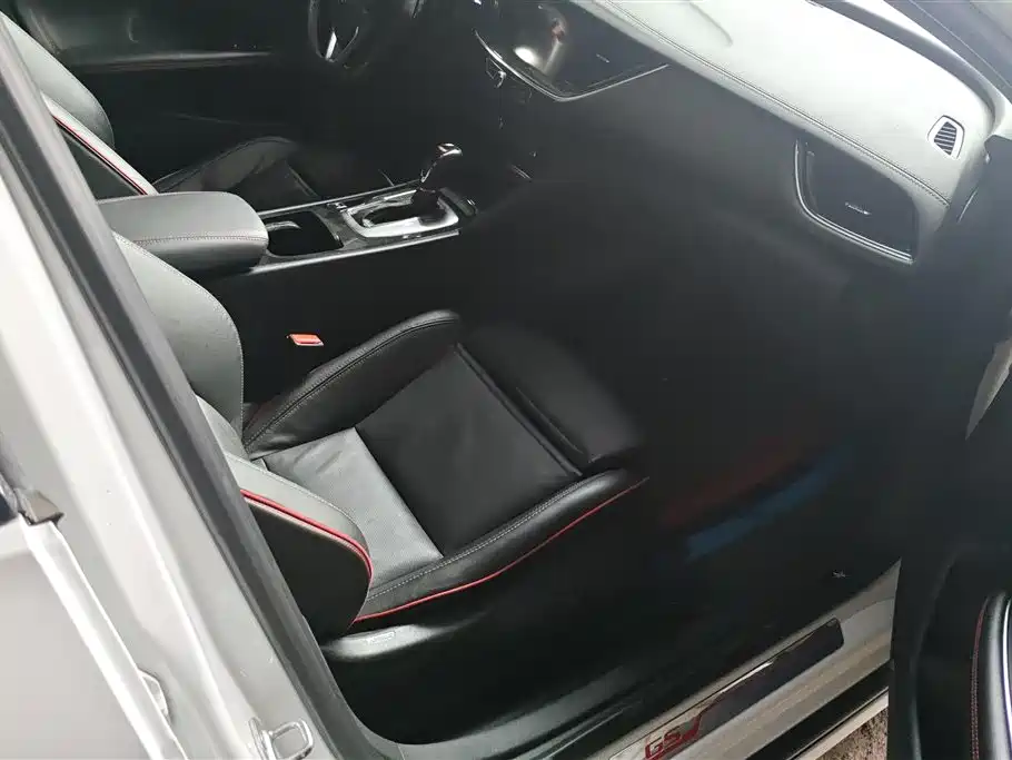 Buick Regal 2017 GS 28T Luxury Model фото 8