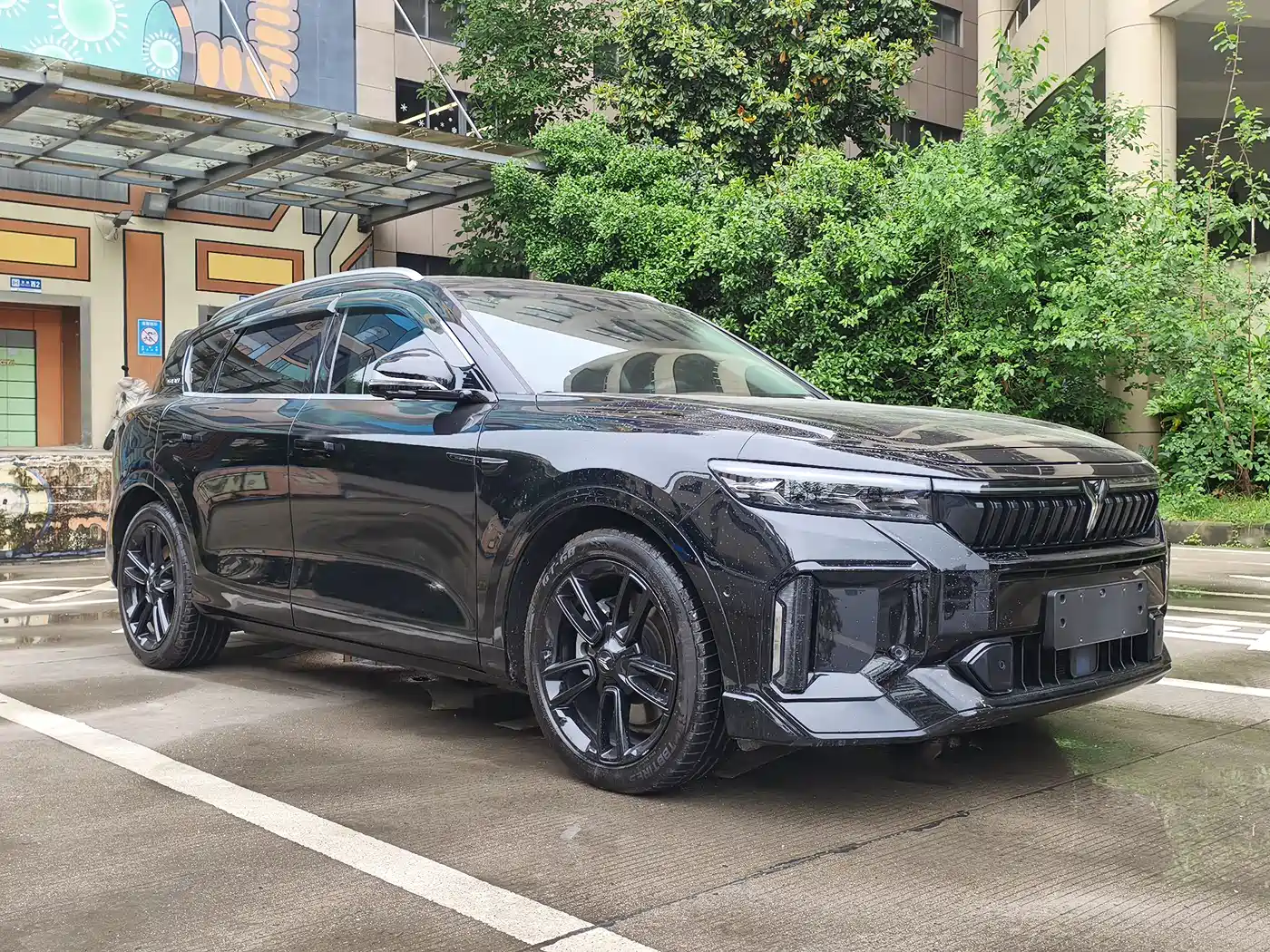 Voyah Auto VOYAH FREE 2024 Ultra Long Range Intelligent Driving Edition фото 3