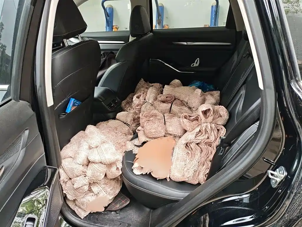 Haval H6 2021 3rd Generation 2.0T Auto 2WD Max фото 15