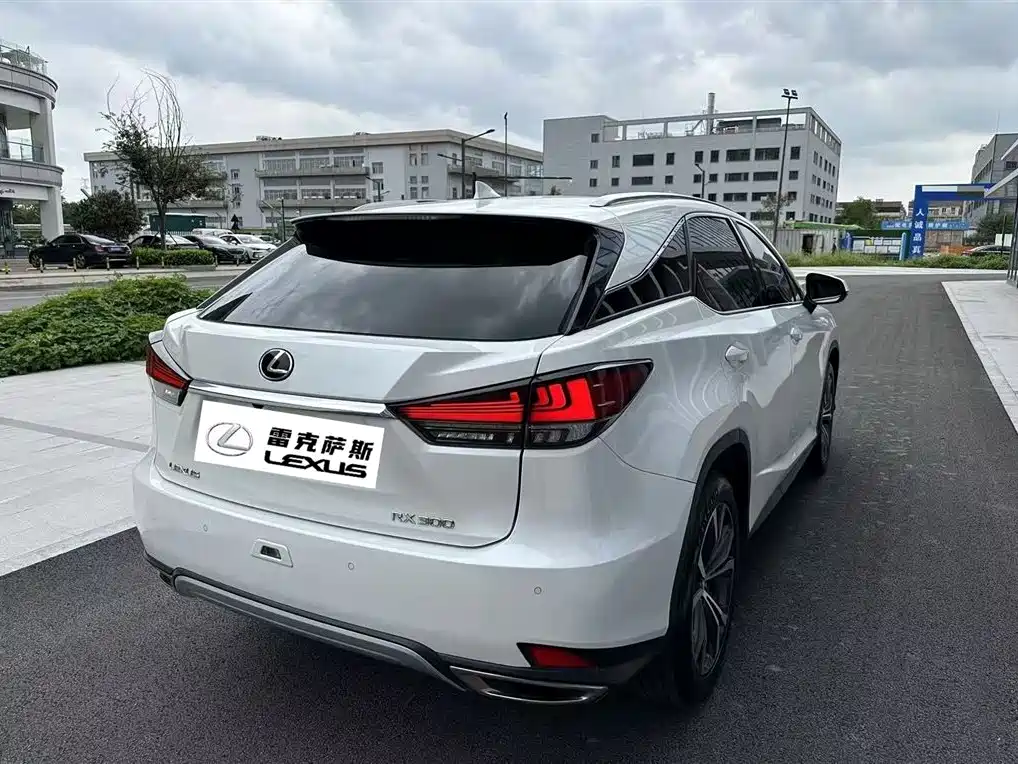 Lexus RX 2020 Facelift 300 AWD Elegance Edition фото 3