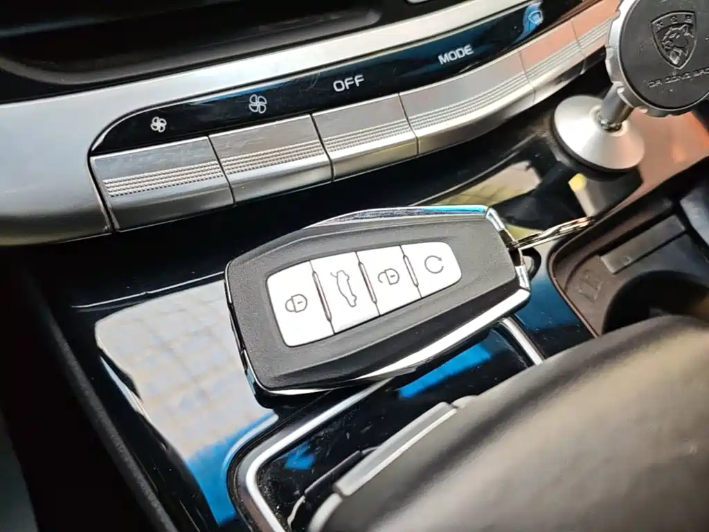 Фото 9 - Geely Borui