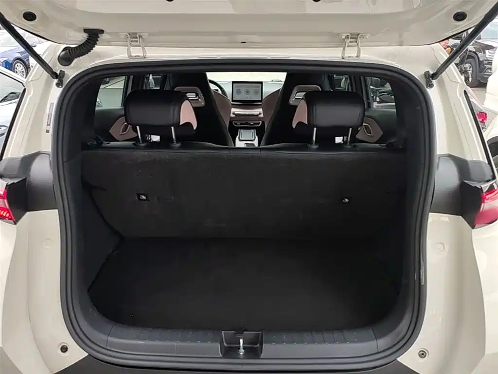 BYD Seagull 2023 Freedom Edition фото 19