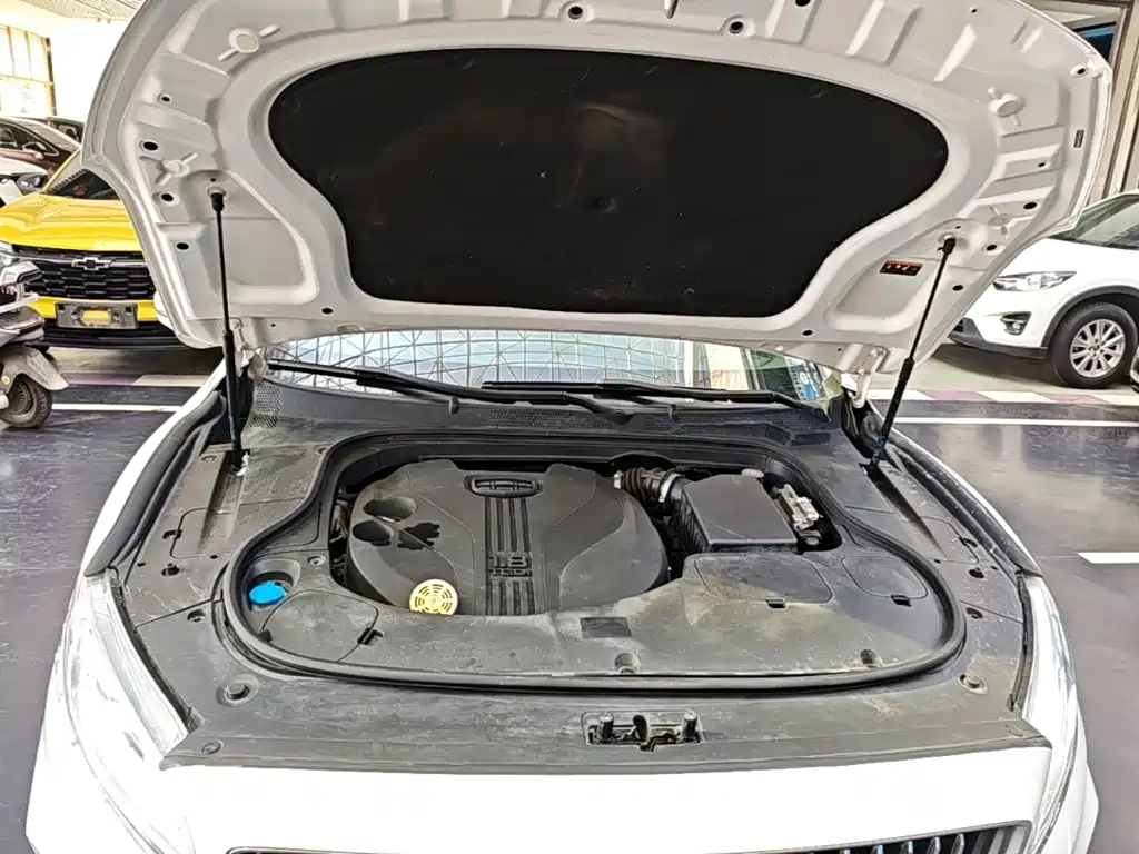 Фото 20 - Geely Borui