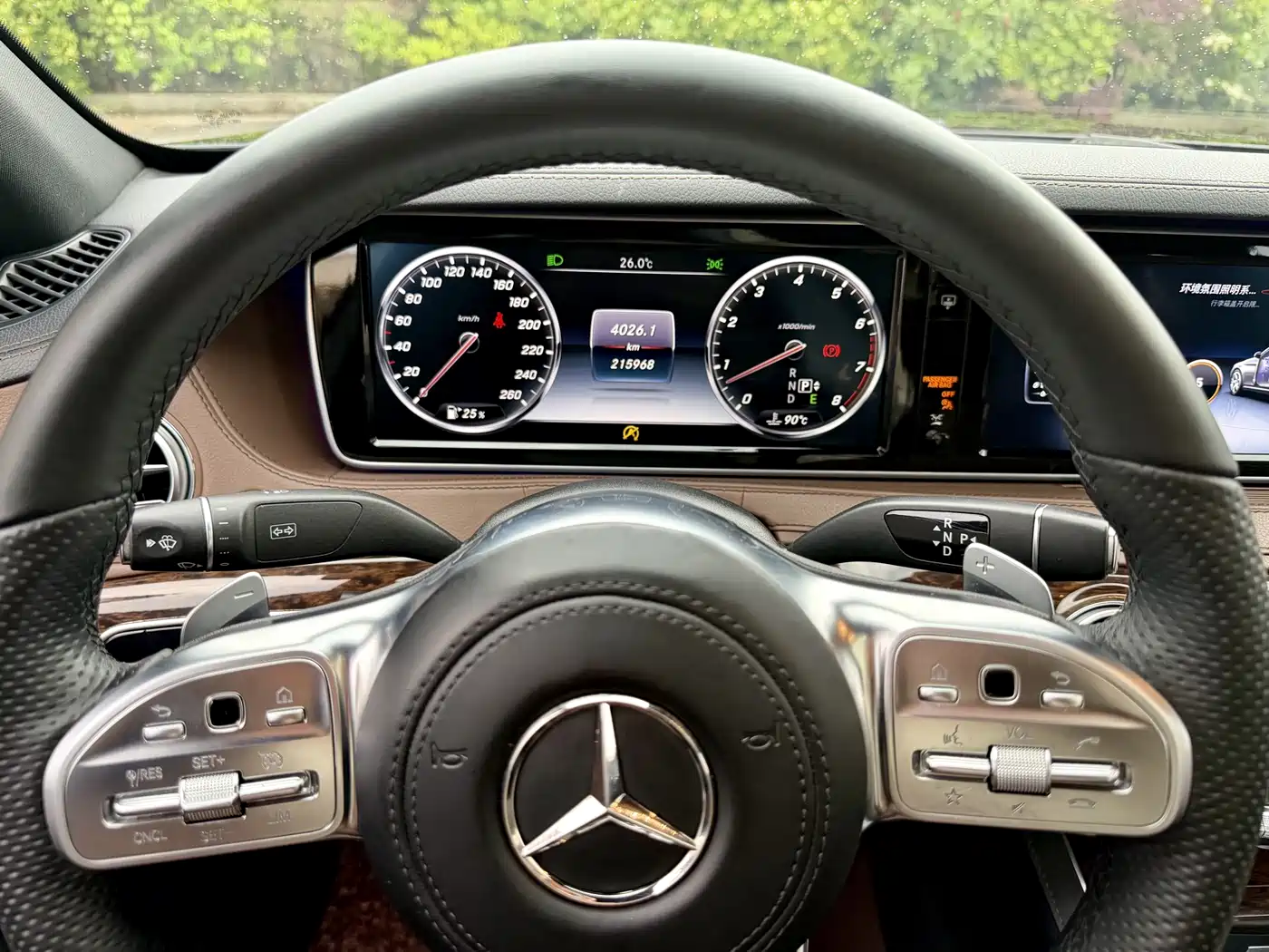 Mercedes-Benz S-Class 2016 S 320 L Luxury фото 9