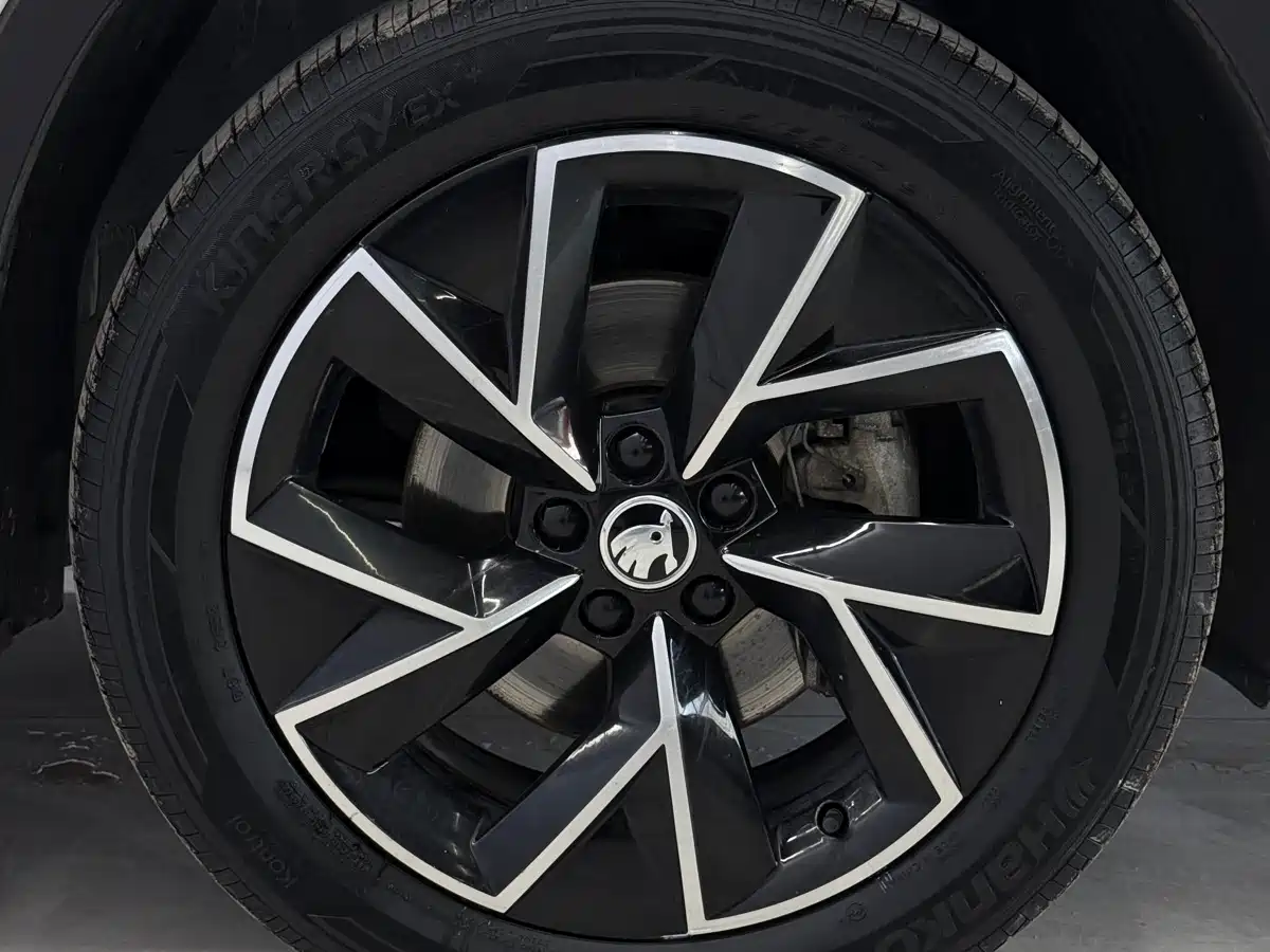 Škoda Kamiq 2021 GT TSI230 DSG Flagship Edition фото 18