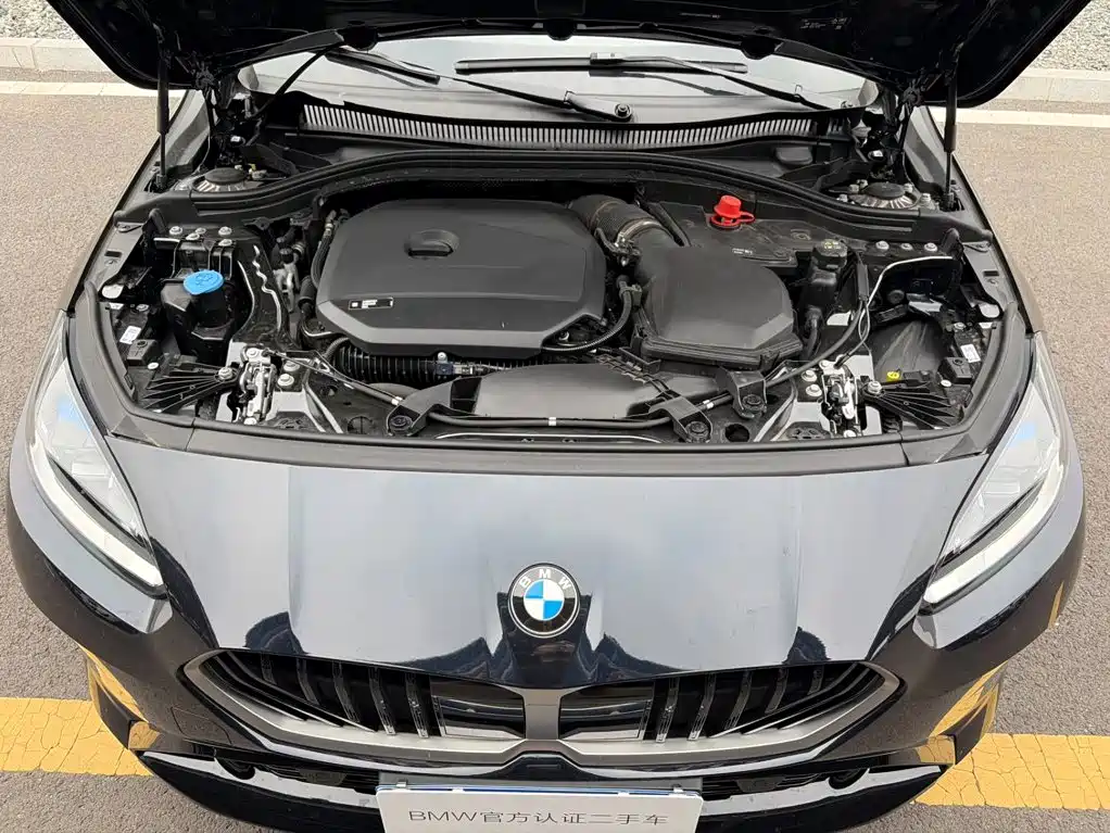 BMW 2 Series 2025 2025 225L M Sport Package