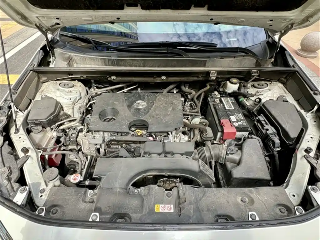 Toyota RAV4 Rongfang 2020 2.0L CVT 4WD Premium Edition фото 10