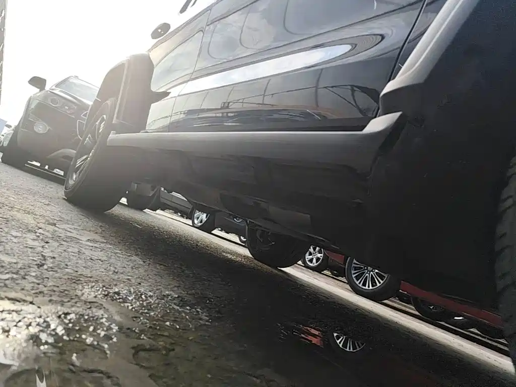 Tank 300 2021 2021 Off-road Version 2.0T Conqueror