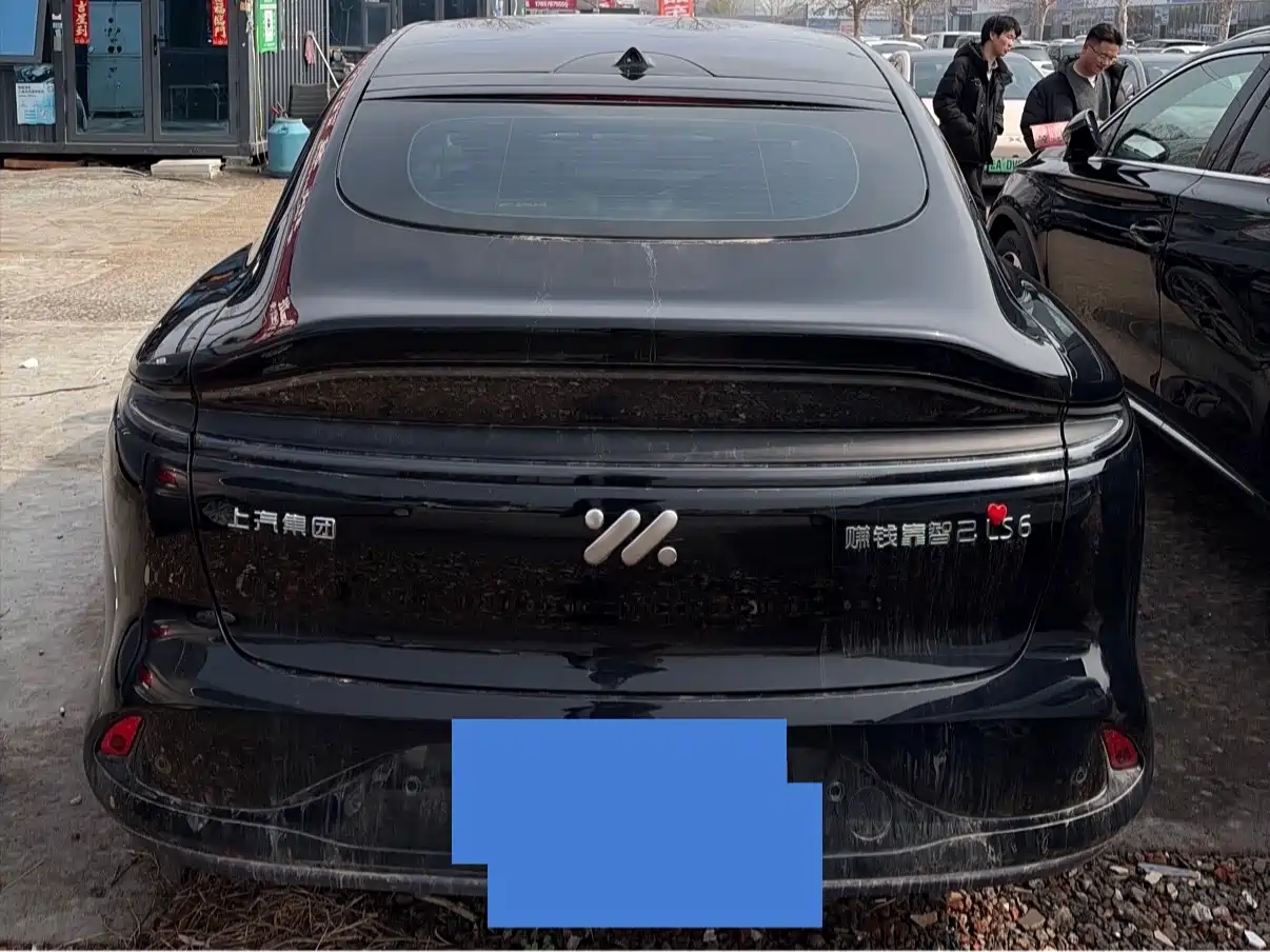 ZHIJI AUTOMOBILE ZHIJI LS6