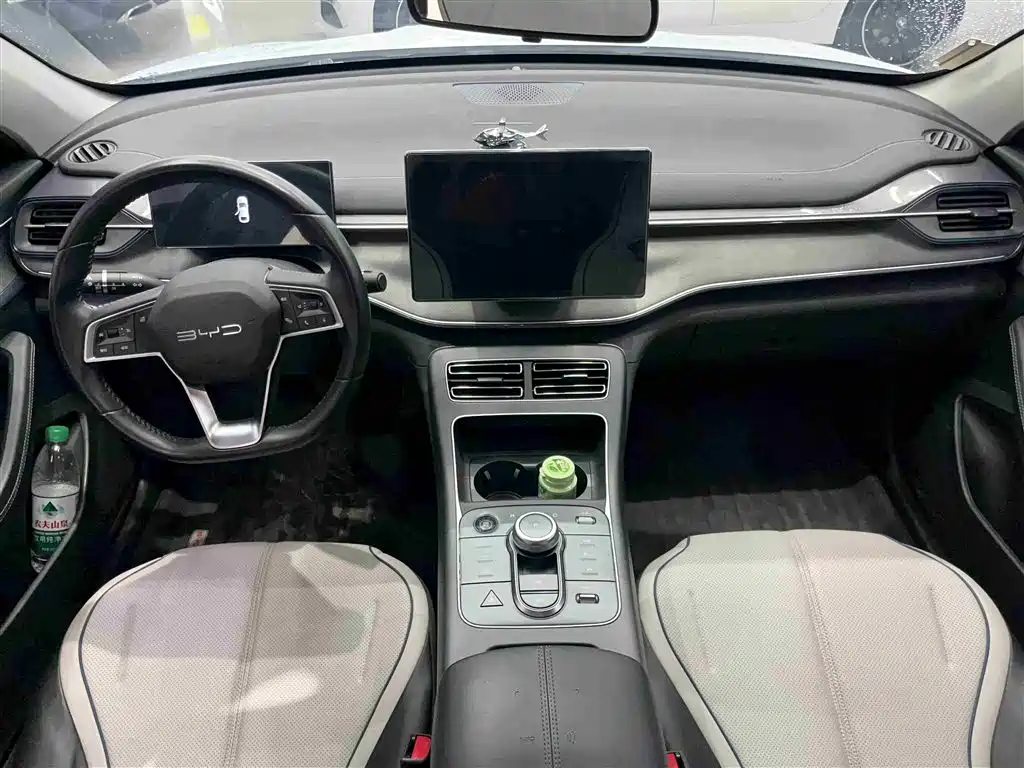 BYD Destroyer 05 2024 Glory Edition DM-i 55KM Luxury фото 8