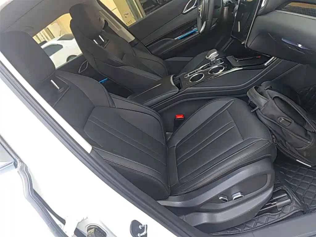 Hongqi HS3 PHEV 2024 PHEV 115km Power Edition фото 25