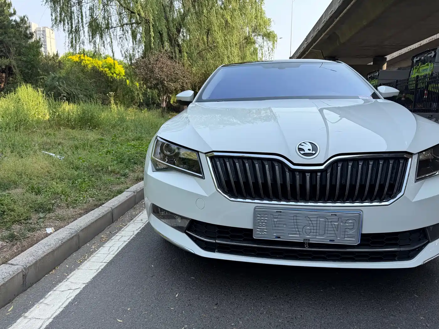 Škoda Superb 2016 TSI330 DSG Pioneer Edition фото 13