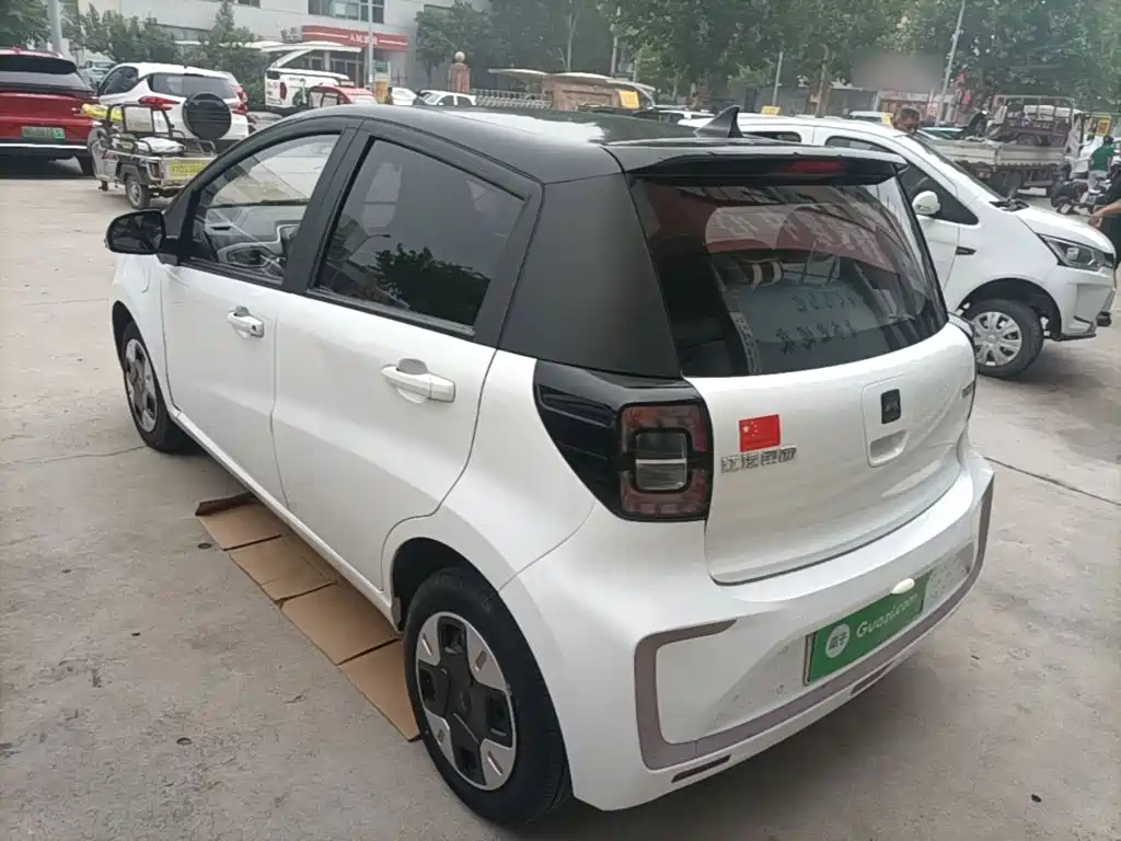 JAC Yiwei Yttrium Flower Fairy 2024 2024 Beloved Edition 301km Lite