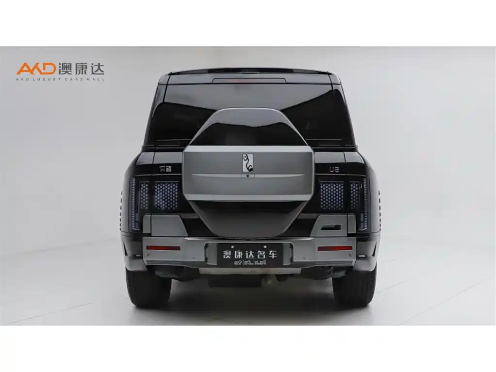 Фото 4 - Yangwang U8