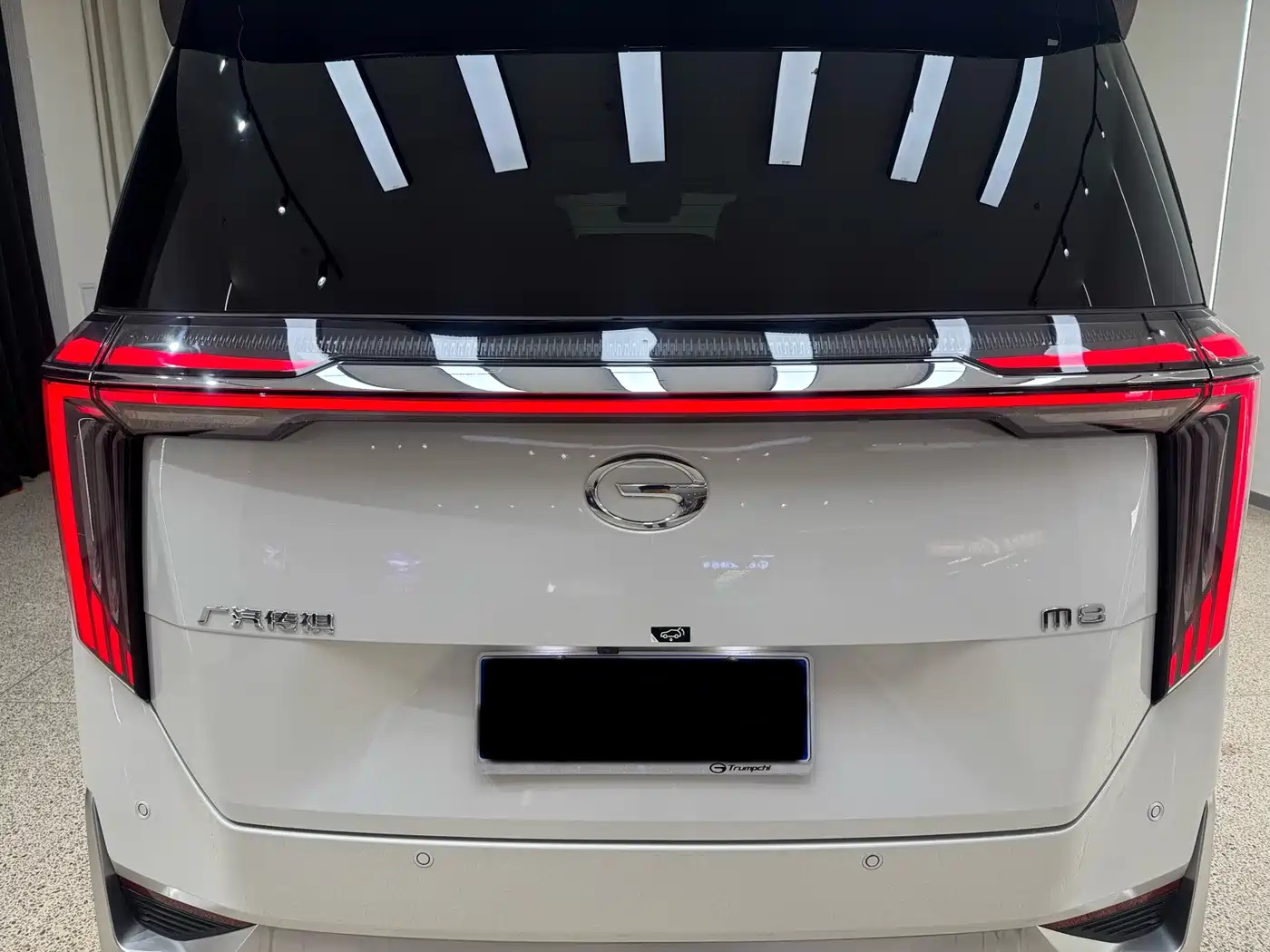 GAC Trumpchi Trumpchi M8 2023 Model Master Series 400T Flagship Edition фото 40