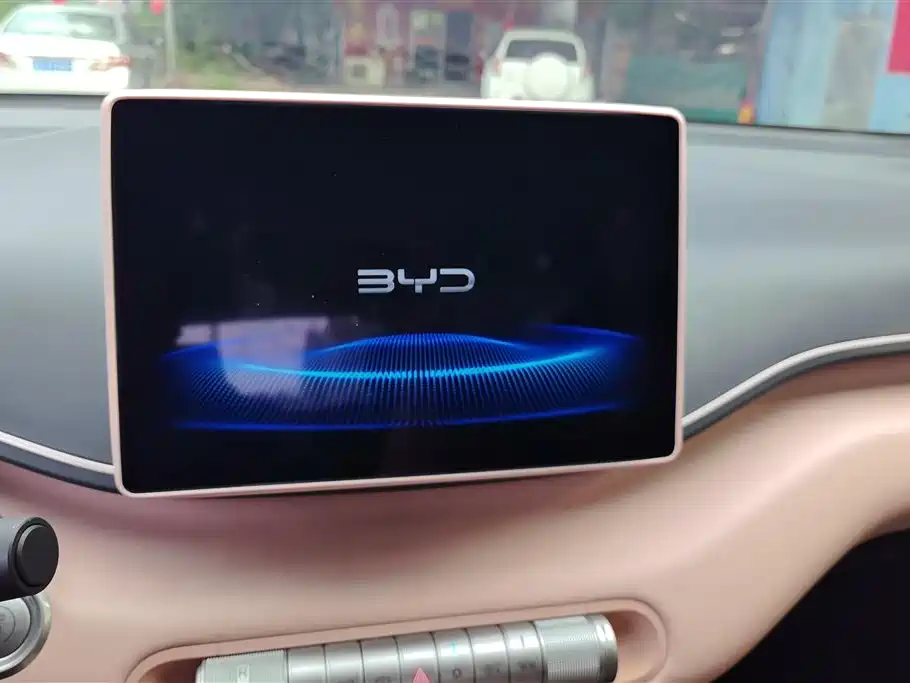 BYD Seagull 2024 Glory Edition 305km Freedom Edition фото 13
