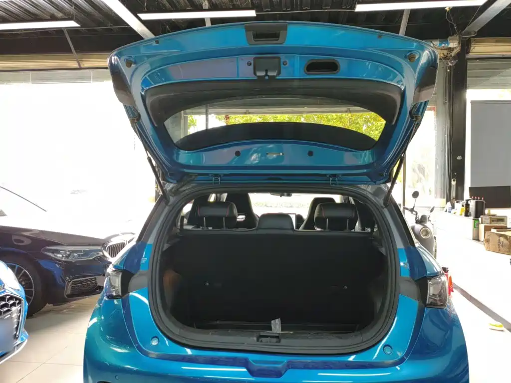 BYD Dolphin 2022 2021 401km Knight Edition