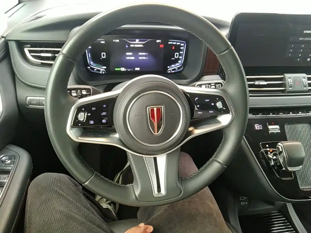 Hongqi HQ9 PHEV 2024 Model 2.0T AWD Luxury Edition фото 11