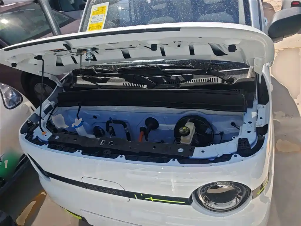 Geely Galaxy Panda 2025 Panda mini 210km Vitality Bear фото 20