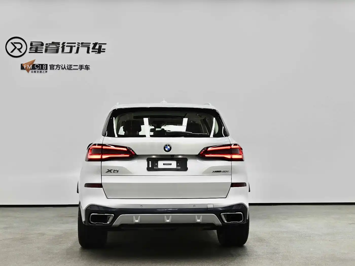 BMW X5 (Import) 2019 xDrive40i M Sport Package фото 2