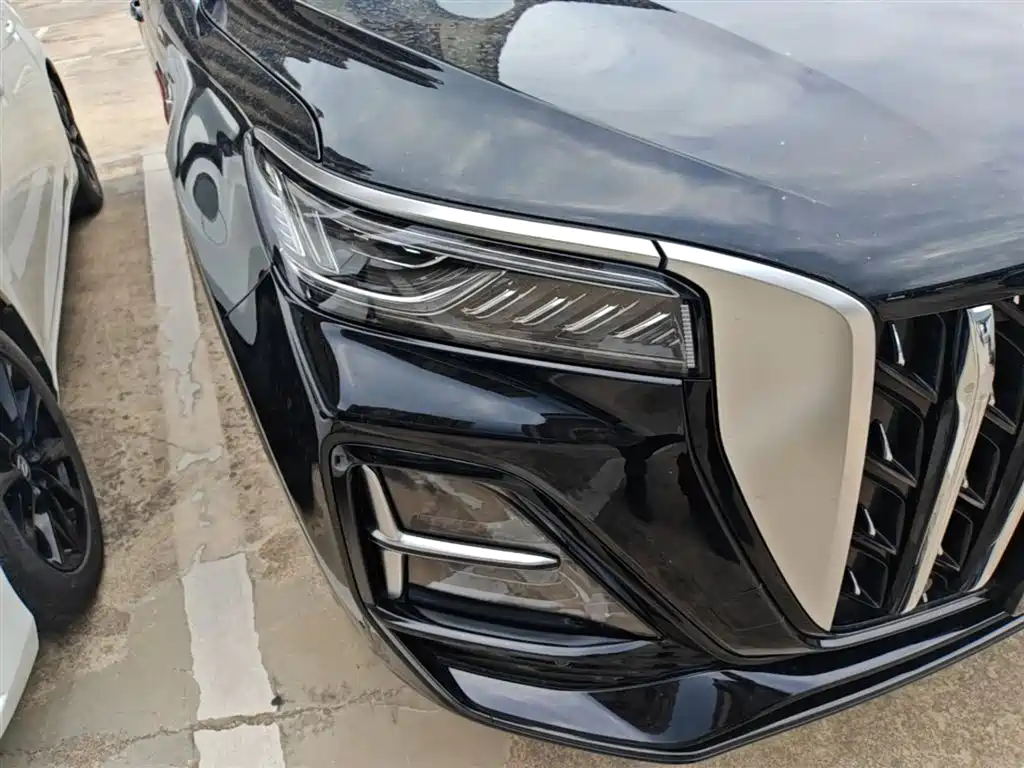 Hongqi HS5 2023 2.0T AWD Flag Enjoy Pro Edition фото 13