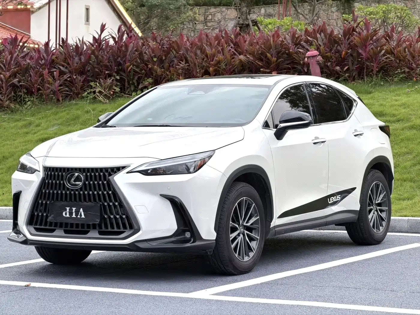 Lexus NX 2024 2024 260 FWD Joy Creation Edition