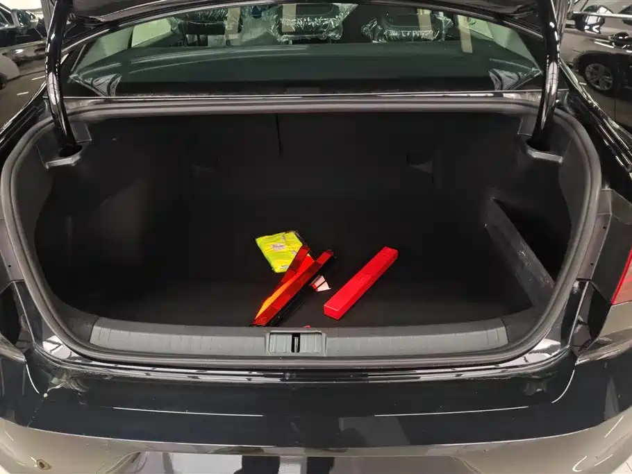 Volkswagen Magotan 2025 Popular Edition 280TSI DSG Comfort фото 4