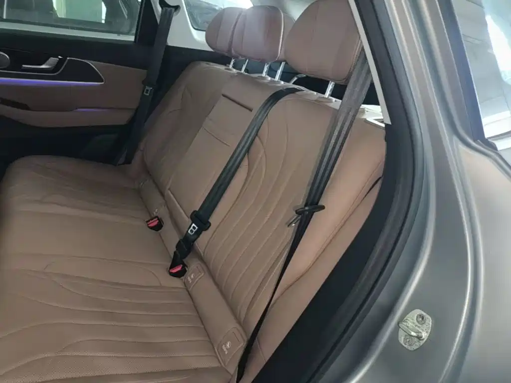 Chery Tiggo 8L 2024 2024 2.0T 2WD Premium 5-seater