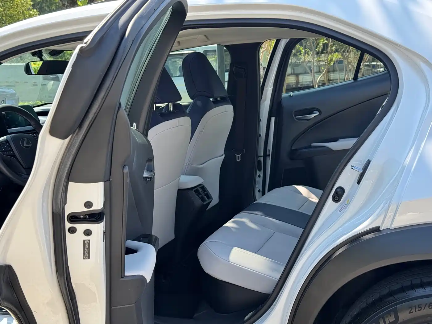 Lexus UX 2019 2019 260h Explore Fun Edition China VI