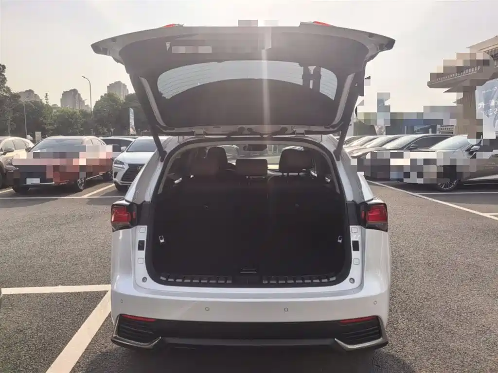 Lexus NX 2018 Model 300h FWD Fengshang Edition China V фото 19