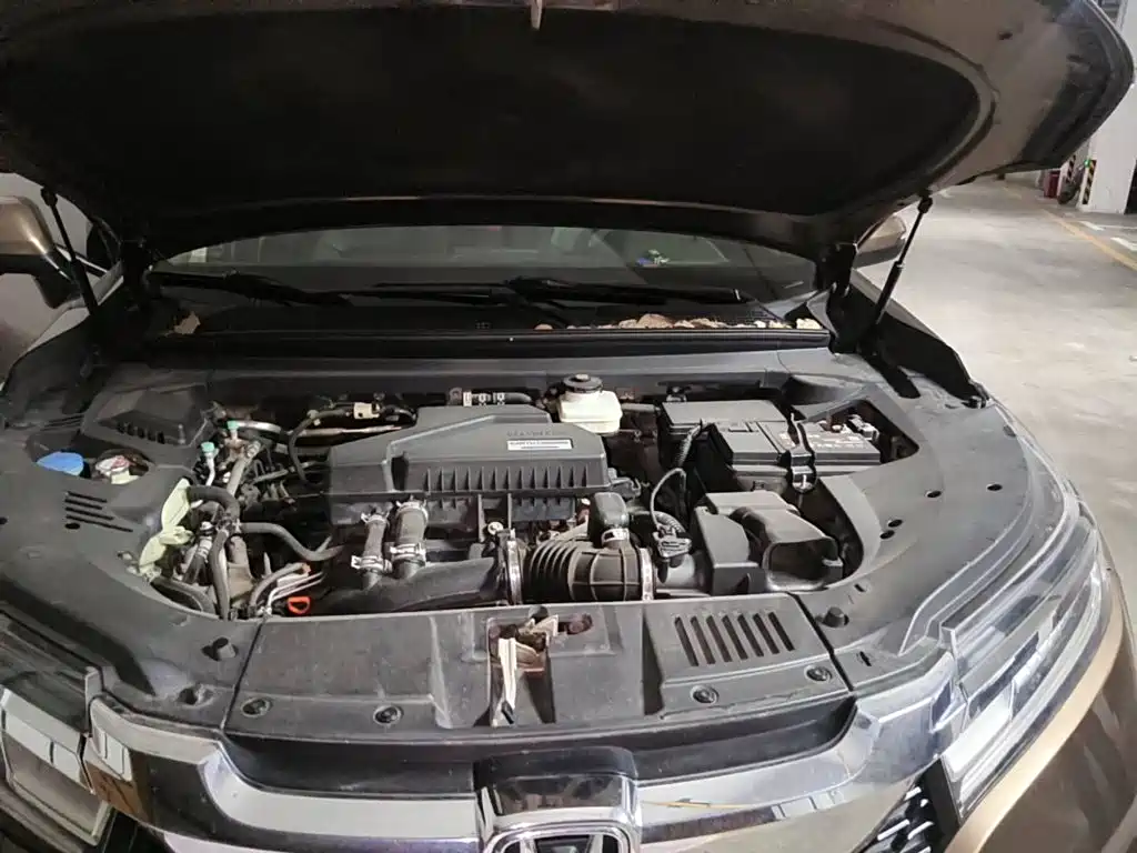 صورة 3 - Honda Avancier