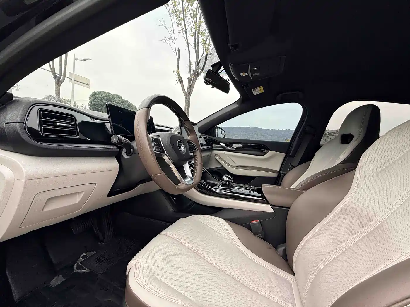 BYD Qin PLUS 2023 Champion Edition DM-i 55KM Leading фото 8