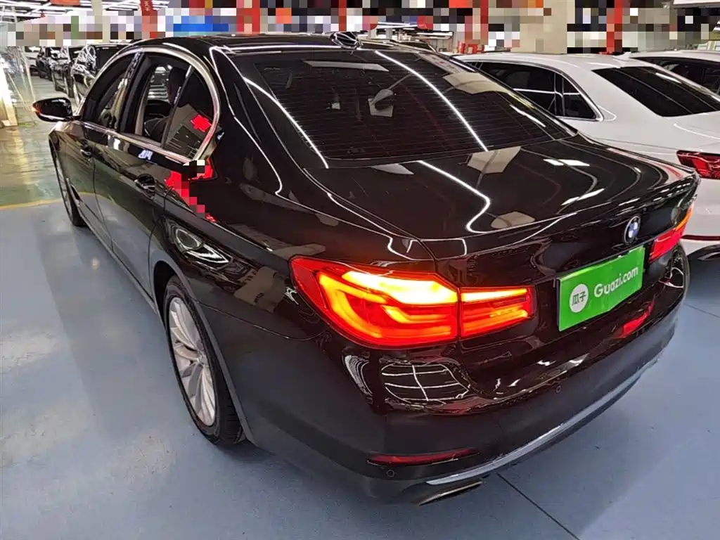 BMW 5 Series 2020 530Li Leading Luxury Package фото 5