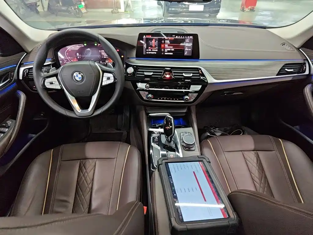 BMW 5 Series 2020 530Li Leading Luxury Package фото 10